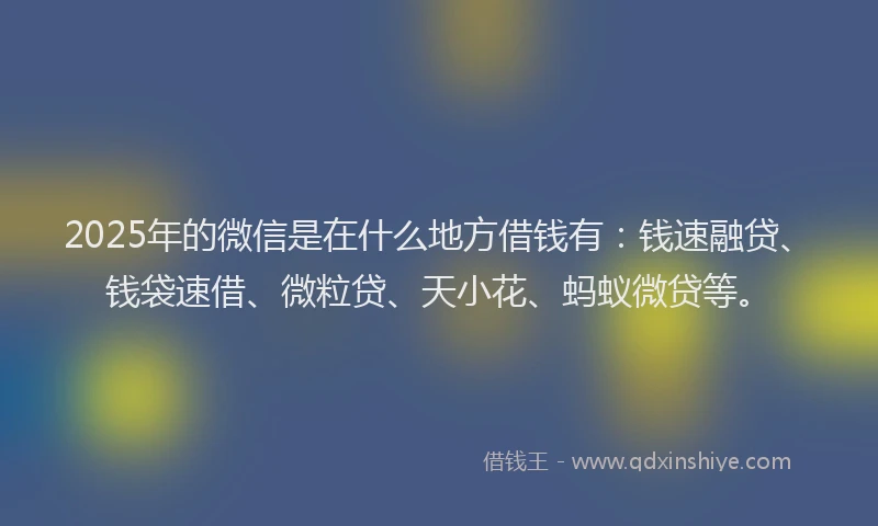 2025年的微信是在什么地方借钱有：钱速融贷、钱袋速借、微粒贷、天小花、蚂蚁微贷等。