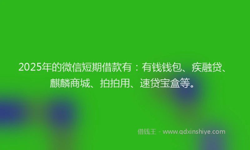 2025年的微信短期借款有：有钱钱包、疾融贷、麒麟商城、拍拍用、速贷宝盒等。