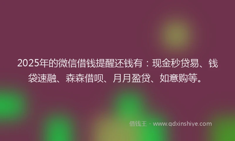 2025年的微信借钱提醒还钱有：现金秒贷易、钱袋速融、森森借呗、月月盈贷、如意购等。