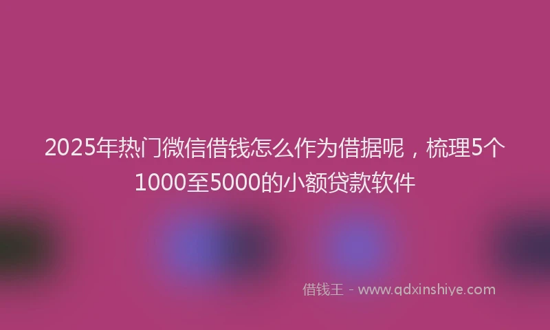 2025年热门微信借钱怎么作为借据呢，梳理5个1000至5000的小额贷款软件