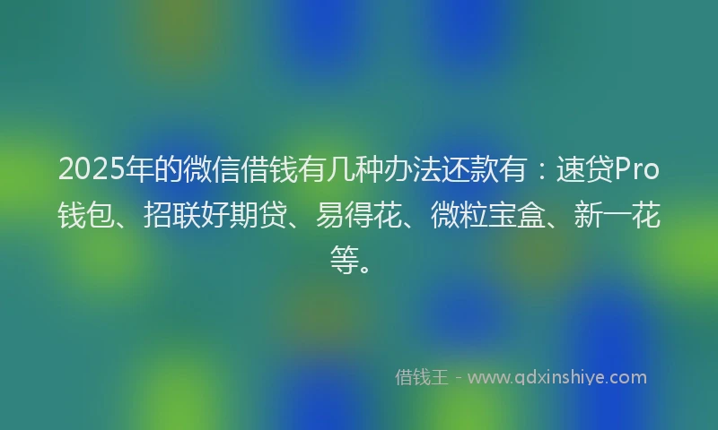 2025年的微信借钱有几种办法还款有：速贷Pro钱包、招联好期贷、易得花、微粒宝盒、新一花等。