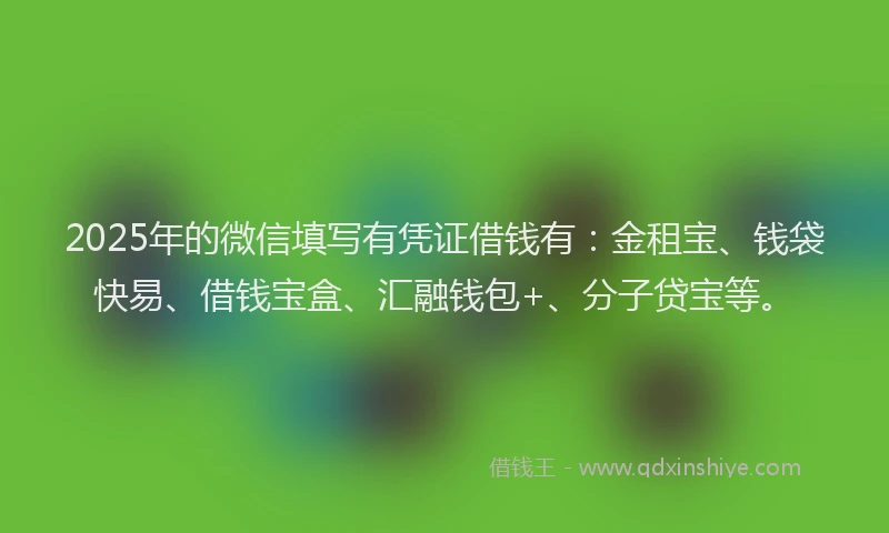2025年的微信填写有凭证借钱有：金租宝、钱袋快易、借钱宝盒、汇融钱包+、分子贷宝等。