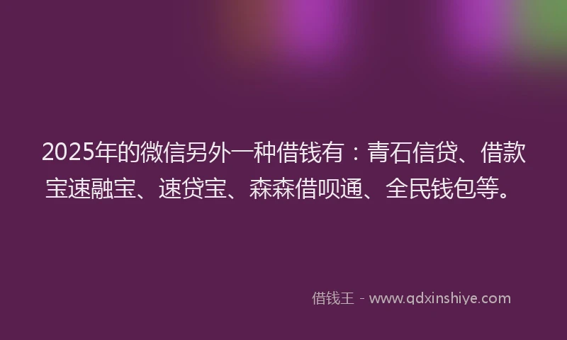 2025年的微信另外一种借钱有：青石信贷、借款宝速融宝、速贷宝、森森借呗通、全民钱包等。