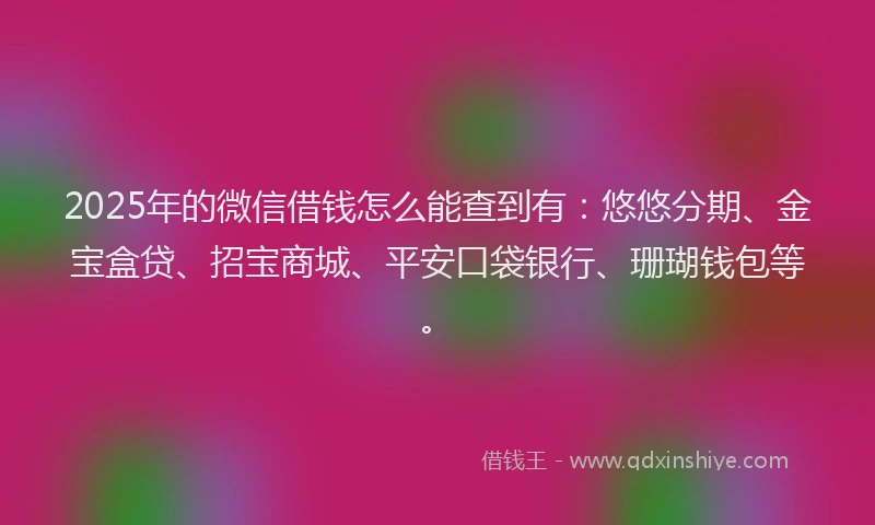 2025年的微信借钱怎么能查到有：悠悠分期、金宝盒贷、招宝商城、平安口袋银行、珊瑚钱包等。