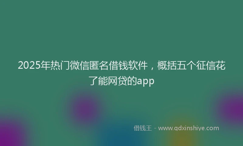 2025年热门微信匿名借钱软件，概括五个征信花了能网贷的app
