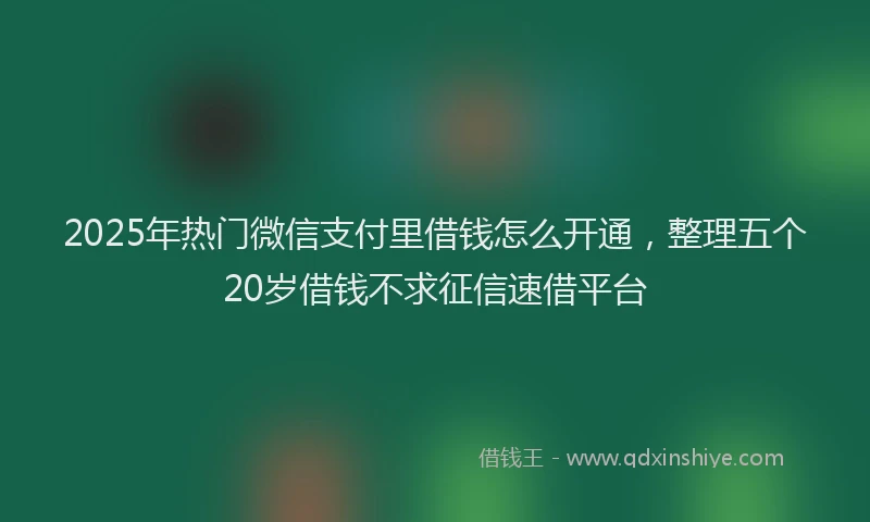 2025年热门微信支付里借钱怎么开通，整理五个20岁借钱不求征信速借平台