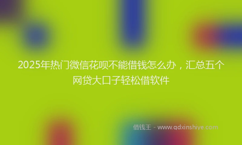 2025年热门微信花呗不能借钱怎么办，汇总五个网贷大口子轻松借软件