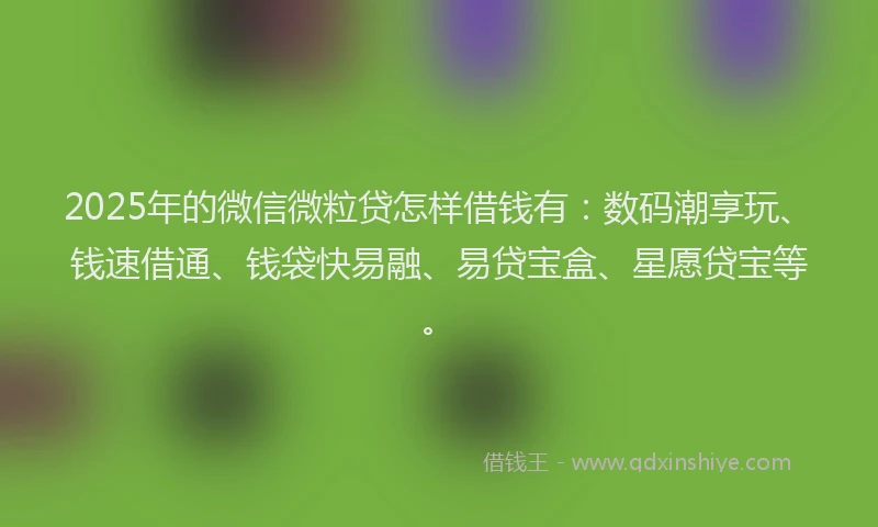 2025年的微信微粒贷怎样借钱有：数码潮享玩、钱速借通、钱袋快易融、易贷宝盒、星愿贷宝等。