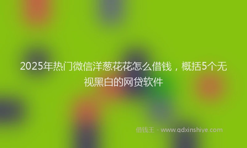 2025年热门微信洋葱花花怎么借钱，概括5个无视黑白的网贷软件