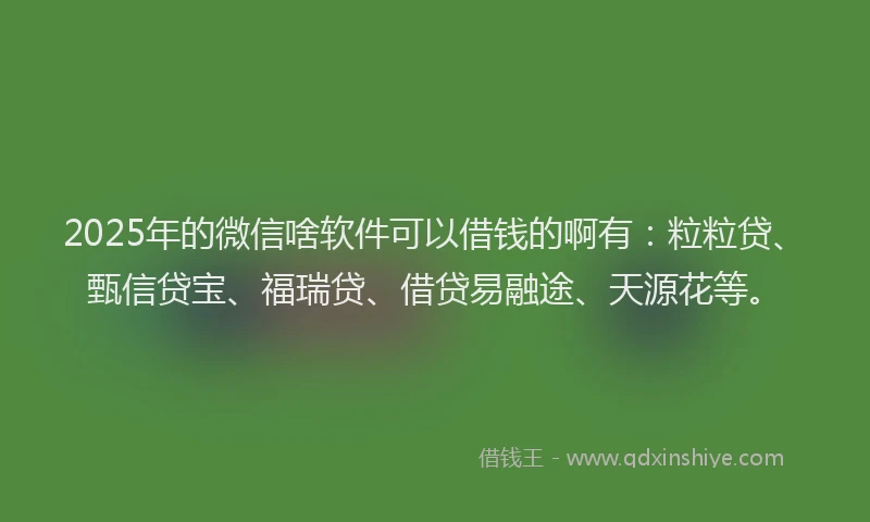 2025年的微信啥软件可以借钱的啊有：粒粒贷、甄信贷宝、福瑞贷、借贷易融途、天源花等。