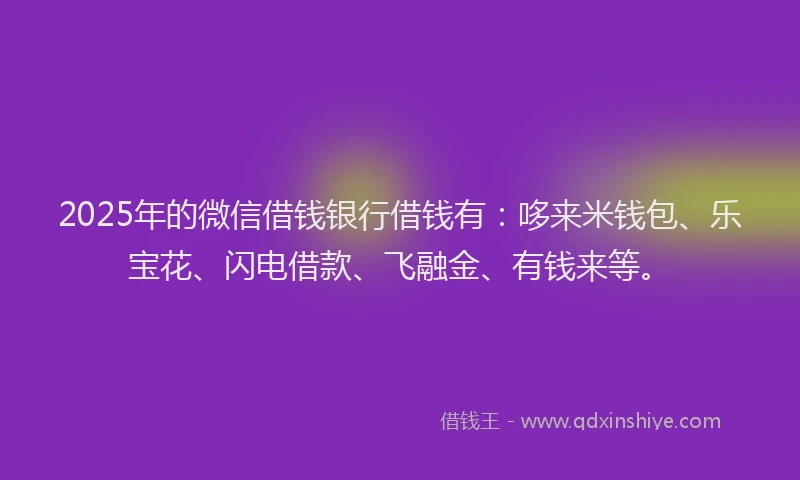 2025年的微信借钱银行借钱有：哆来米钱包、乐宝花、闪电借款、飞融金、有钱来等。