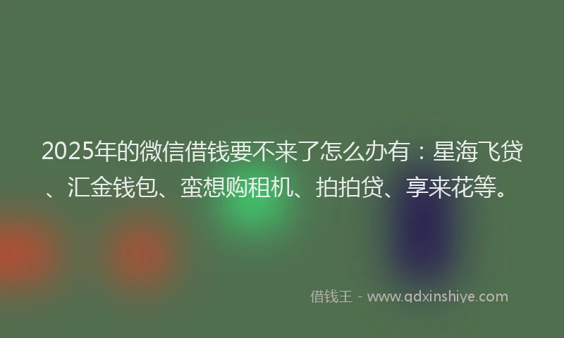 2025年的微信借钱要不来了怎么办有：星海飞贷、汇金钱包、蛮想购租机、拍拍贷、享来花等。