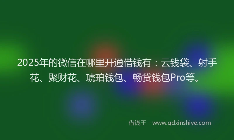 2025年的微信在哪里开通借钱有：云钱袋、射手花、聚财花、琥珀钱包、畅贷钱包Pro等。