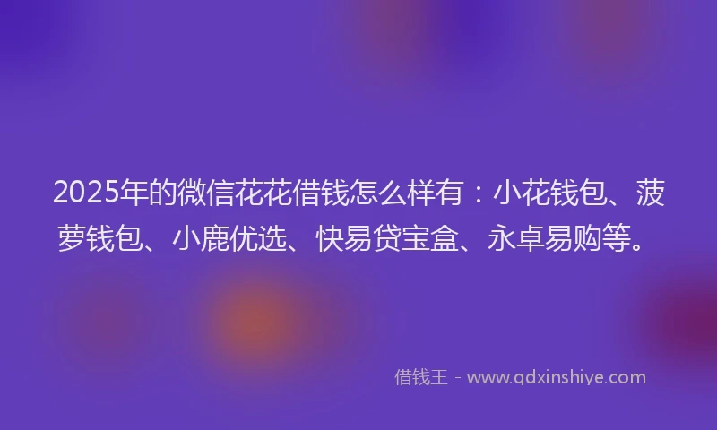 2025年的微信花花借钱怎么样有：小花钱包、菠萝钱包、小鹿优选、快易贷宝盒、永卓易购等。