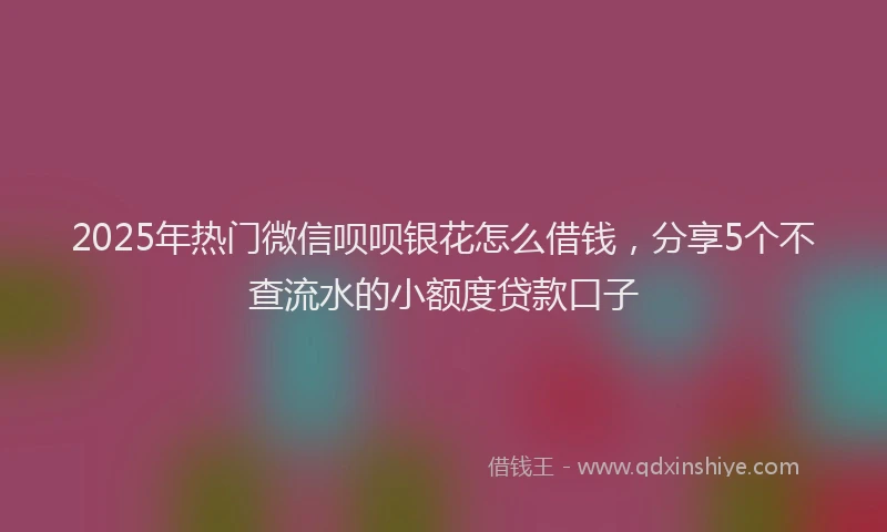 2025年热门微信呗呗银花怎么借钱，分享5个不查流水的小额度贷款口子