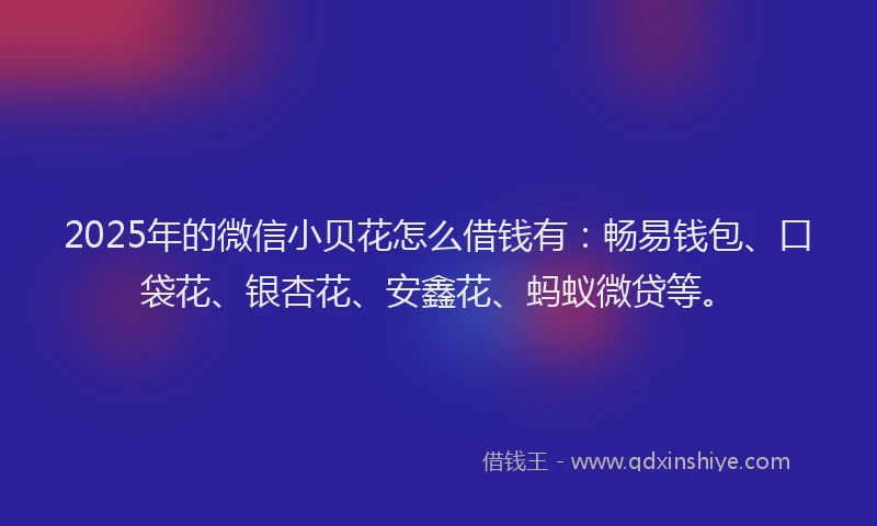2025年的微信小贝花怎么借钱有：畅易钱包、口袋花、银杏花、安鑫花、蚂蚁微贷等。