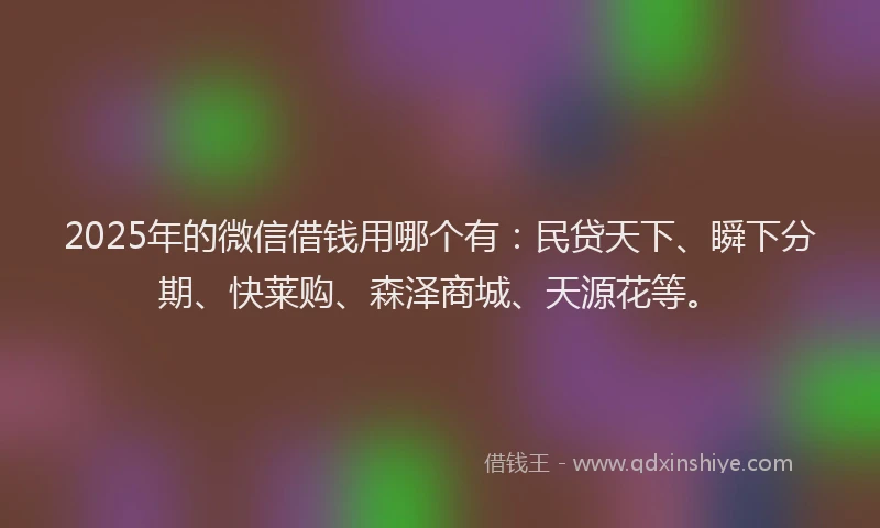 2025年的微信借钱用哪个有：民贷天下、瞬下分期、快莱购、森泽商城、天源花等。
