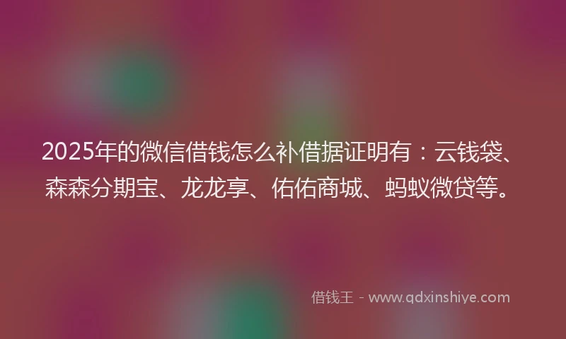 2025年的微信借钱怎么补借据证明有：云钱袋、森森分期宝、龙龙享、佑佑商城、蚂蚁微贷等。