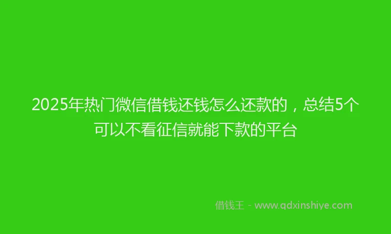 2025年热门微信借钱还钱怎么还款的，总结5个可以不看征信就能下款的平台