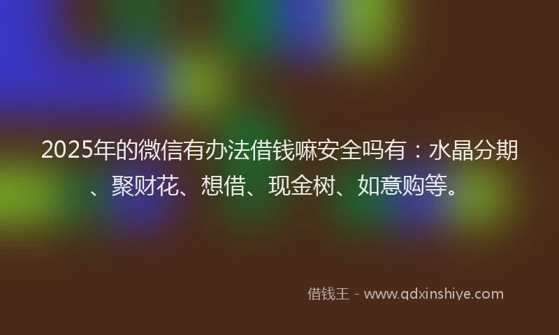 2025年的微信有办法借钱嘛安全吗有：水晶分期、聚财花、想借、现金树、如意购等。
