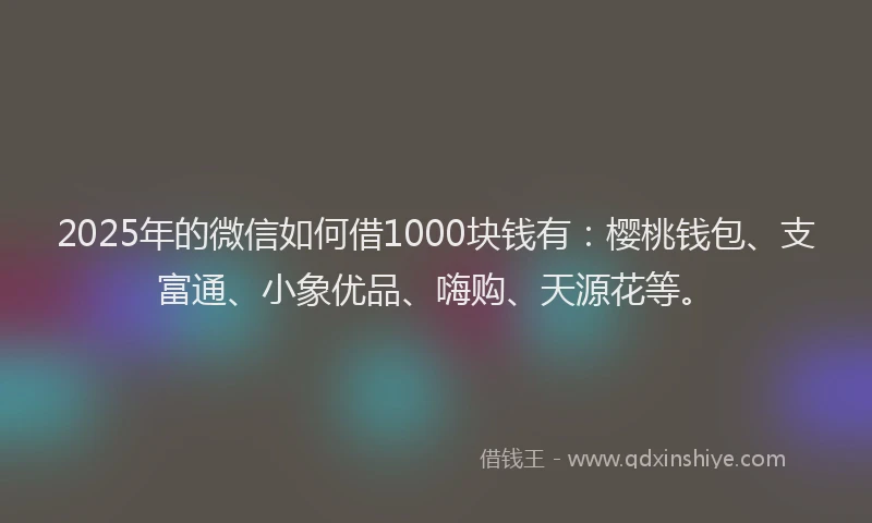 2025年的微信如何借1000块钱有：樱桃钱包、支富通、小象优品、嗨购、天源花等。