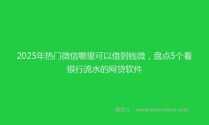 2025年热门微信哪里可以借到钱微，盘点5个看银行流水的网贷软件