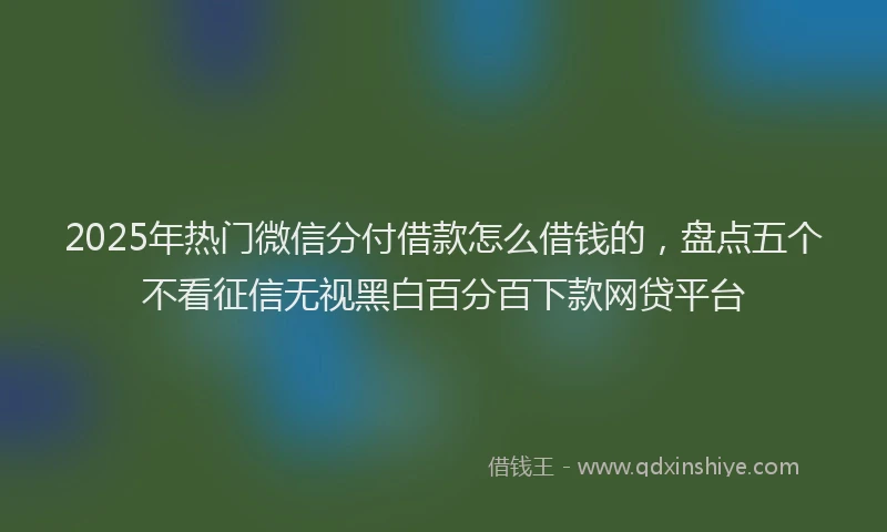 2025年热门微信分付借款怎么借钱的，盘点五个不看征信无视黑白百分百下款网贷平台