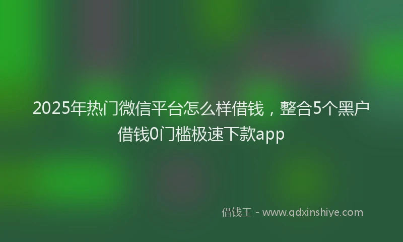 2025年热门微信平台怎么样借钱，整合5个黑户借钱0门槛极速下款app