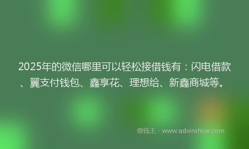 2025年的微信哪里可以轻松接借钱有：闪电借款、翼支付钱包、鑫享花、理想给、新鑫商城等。