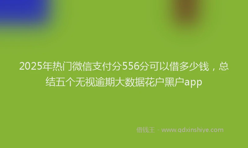 2025年热门微信支付分556分可以借多少钱，总结五个无视逾期大数据花户黑户app