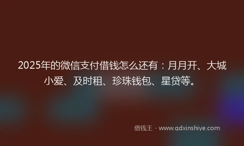 2025年的微信支付借钱怎么还有：月月开、大城小爱、及时租、珍珠钱包、星贷等。