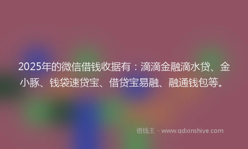 2025年的微信借钱收据有：滴滴金融滴水贷、金小豚、钱袋速贷宝、借贷宝易融、融通钱包等。