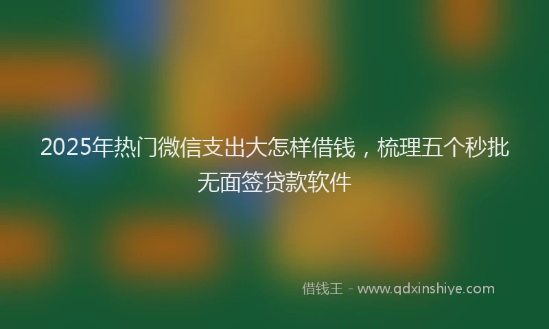 2025年热门微信支出大怎样借钱，梳理五个秒批无面签贷款软件