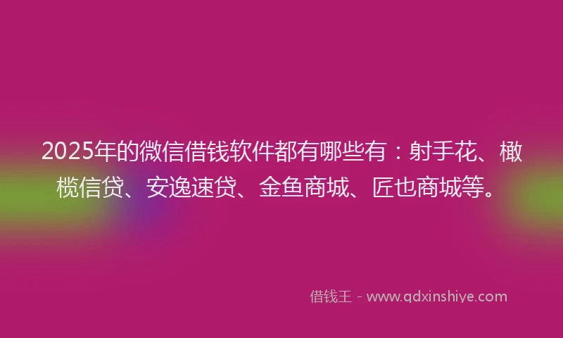 2025年的微信借钱软件都有哪些有：射手花、橄榄信贷、安逸速贷、金鱼商城、匠也商城等。