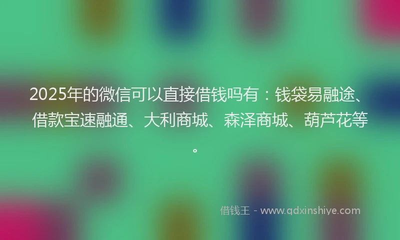 2025年的微信可以直接借钱吗有：钱袋易融途、借款宝速融通、大利商城、森泽商城、葫芦花等。