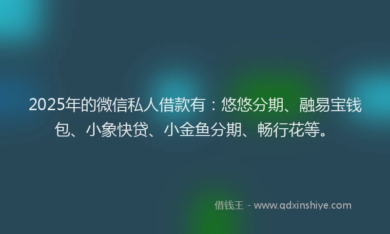 2025年的微信私人借款有：悠悠分期、融易宝钱包、小象快贷、小金鱼分期、畅行花等。