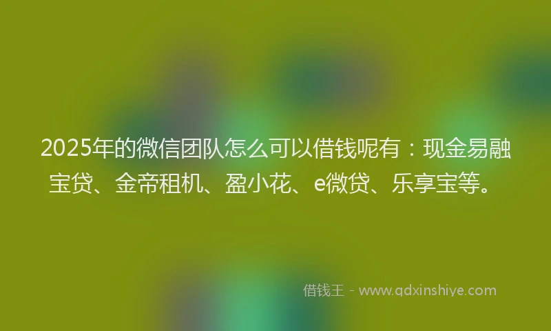 2025年的微信团队怎么可以借钱呢有：现金易融宝贷、金帝租机、盈小花、e微贷、乐享宝等。