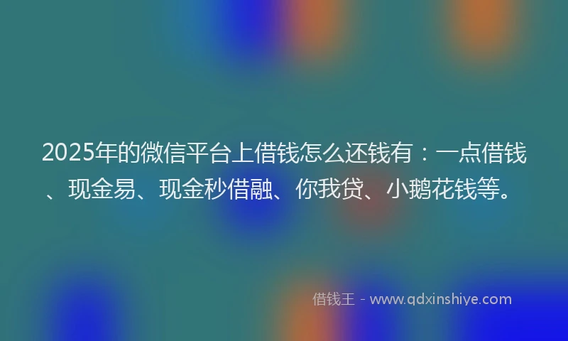 2025年的微信平台上借钱怎么还钱有：一点借钱、现金易、现金秒借融、你我贷、小鹅花钱等。