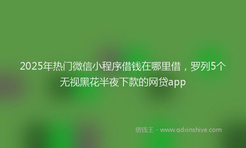 2025年热门微信小程序借钱在哪里借，罗列5个无视黑花半夜下款的网贷app