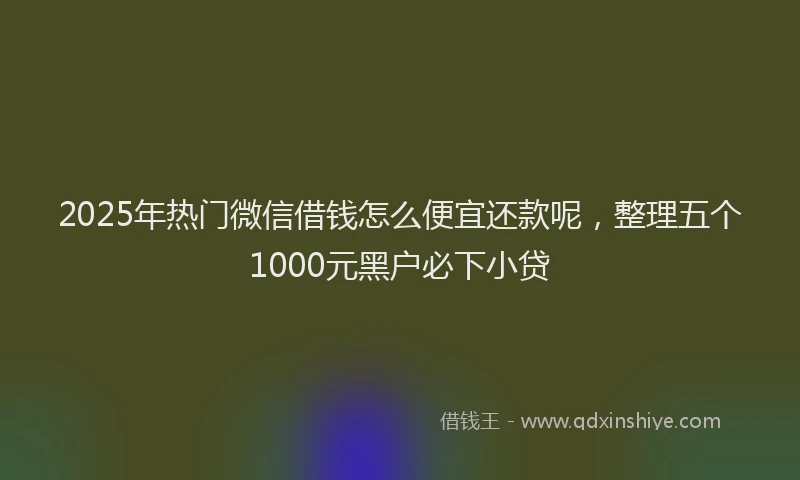 2025年热门微信借钱怎么便宜还款呢，整理五个1000元黑户必下小贷