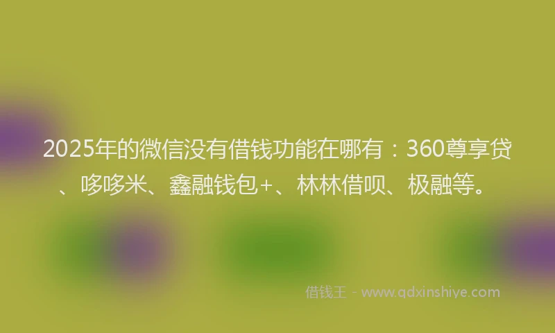 2025年的微信没有借钱功能在哪有：360尊享贷、哆哆米、鑫融钱包+、林林借呗、极融等。