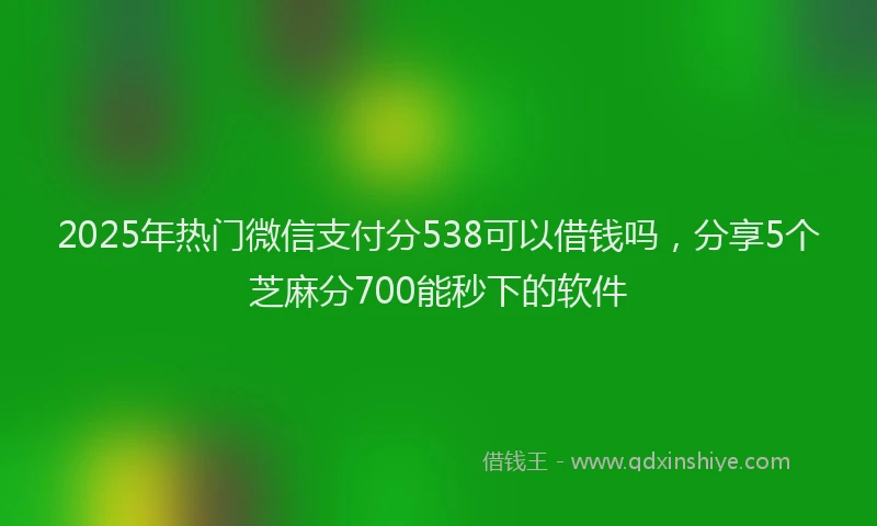 2025年热门微信支付分538可以借钱吗，分享5个芝麻分700能秒下的软件