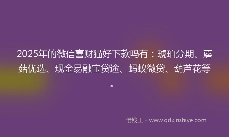 2025年的微信喜财猫好下款吗有：琥珀分期、蘑菇优选、现金易融宝贷途、蚂蚁微贷、葫芦花等。