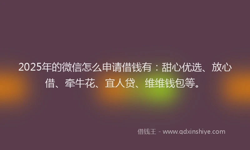 2025年的微信怎么申请借钱有：甜心优选、放心借、牵牛花、宜人贷、维维钱包等。