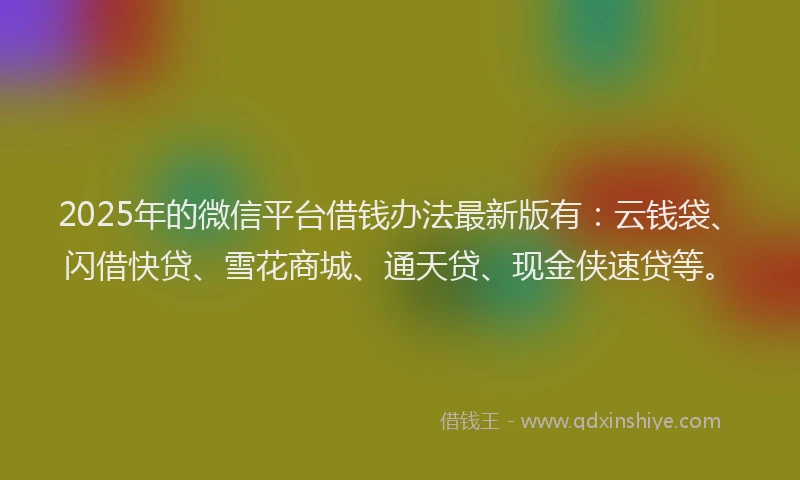 2025年的微信平台借钱办法最新版有：云钱袋、闪借快贷、雪花商城、通天贷、现金侠速贷等。