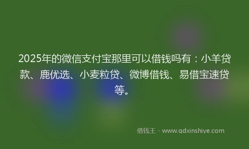 2025年的微信支付宝那里可以借钱吗有：小羊贷款、鹿优选、小麦粒贷、微博借钱、易借宝速贷等。