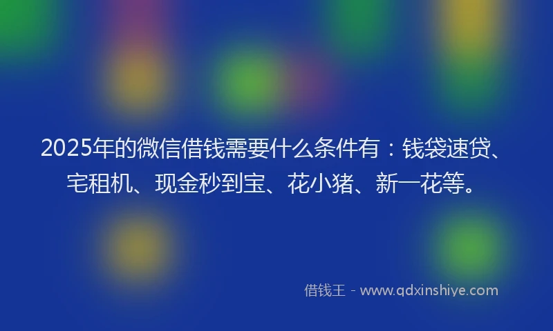 2025年的微信借钱需要什么条件有：钱袋速贷、宅租机、现金秒到宝、花小猪、新一花等。