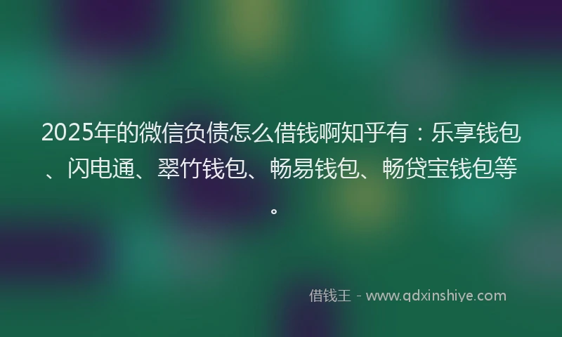 2025年的微信负债怎么借钱啊知乎有：乐享钱包、闪电通、翠竹钱包、畅易钱包、畅贷宝钱包等。