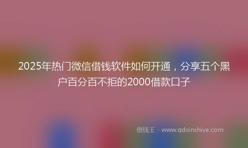 2025年热门微信借钱软件如何开通，分享五个黑户百分百不拒的2000借款口子