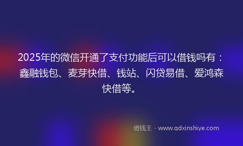 2025年的微信开通了支付功能后可以借钱吗有：鑫融钱包、麦芽快借、钱站、闪贷易借、爱鸿森快借等。